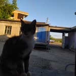 Muhammed
