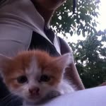 Profil fotoğrafı