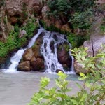 Tolga