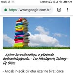 M.aslan
