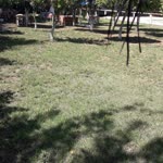Uslu