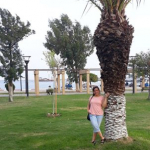 Songül