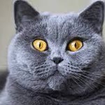 Muzaffer