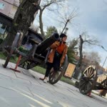Filiz