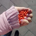 Eylem