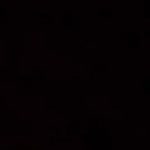 Yigit