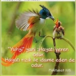 Oğuz