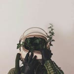 Dr.