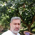 Halil