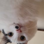 Gizem
