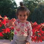 Halil