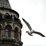 Şeyma