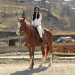 Nigar