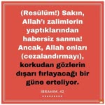 Mücahit