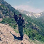 Servet