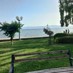 Tuana