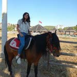 Havva