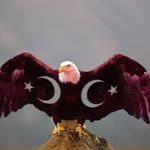 Muhammed