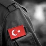 Nur