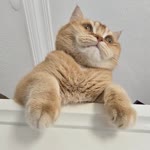Emrah