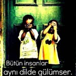 Ay Işığı