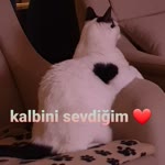 Sevda