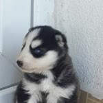 Deniz
