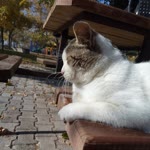 Manisa