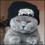Harun