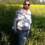 Murat