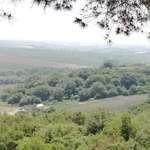 Özgür