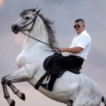 Selim