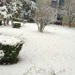 Bekir