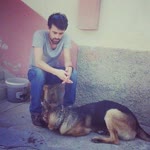 İsrafil