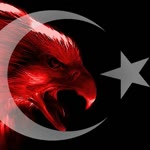Fehmi