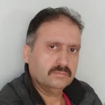 Şahin