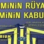 Doğan