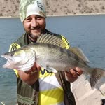Hamdi