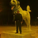Hikmet
