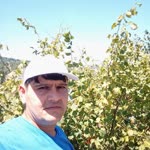 Ergin