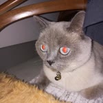 Melike