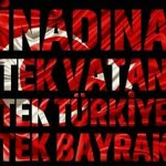 Şahin
