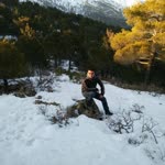 Murat