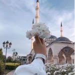 Rabia