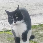 Profil fotoğrafı