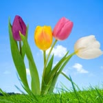 Hatice