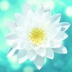 Onur