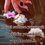 Müfit