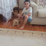 Çınar