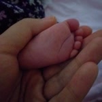 Sibel